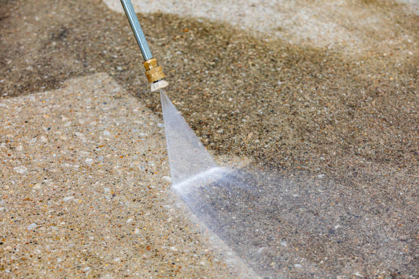 Best Dumpster Area Cleaning  in Laughlin, NV